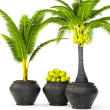 Tropical Bliss Coconut Palm Set 3D model image 1 