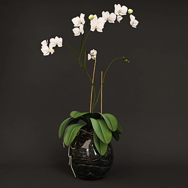Elegant Glass Vase Orchid 3D model image 1 