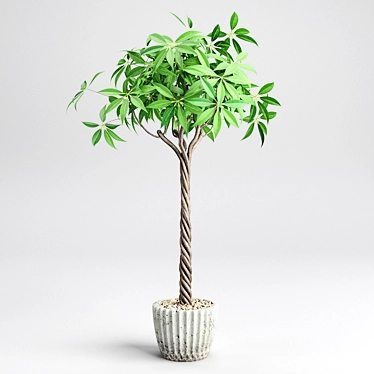 Houseplant Verdun Green