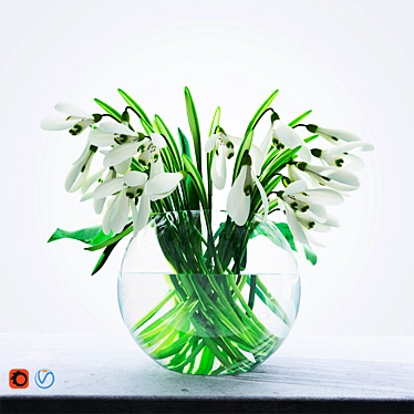 Delicate Snowdrop 3D Model 3D model image 1 