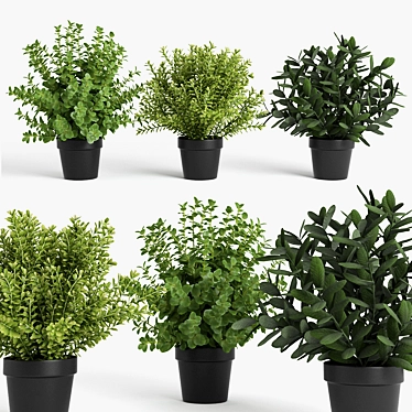 Vibrant Plant Collection 3D model image 1 