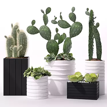 Modern Indoor Plant Set 3D model image 1 