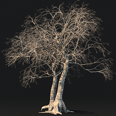 Eternal Timber: 3D Dead Tree 3D model image 1 