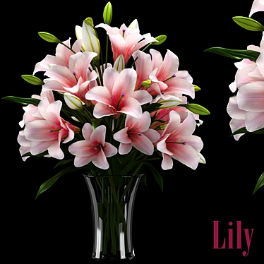 LILY 2 - Versatile 3D Model 3D model image 1 
