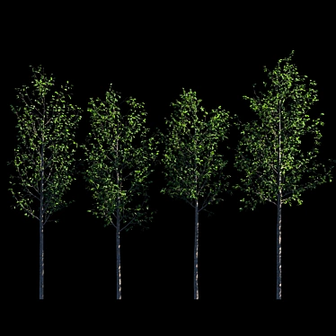 Tall Tree Models: 3m Height 3D model image 1 