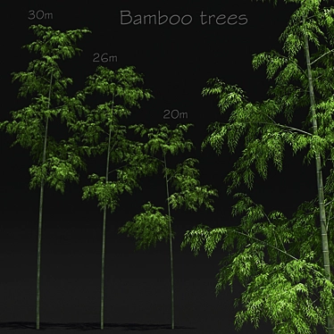 Bamboo Scatters: Natural Elegance for Your Space 3D model image 1 
