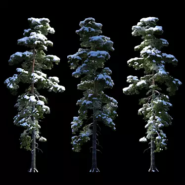 Snowy Pine Tree: Detailed, High-Poly 3D model image 1 