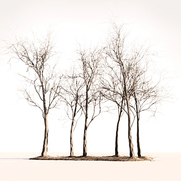 Wooden Seasonal Trees 3D model image 1 