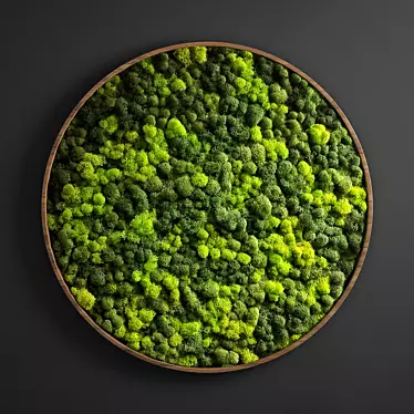 Moss Circle Panel: D800mm, UV Mapped 3D model image 1 