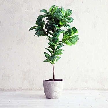 Lush Ficus Lyrata: Lifelike 3D Interior Plant 3D model image 1 