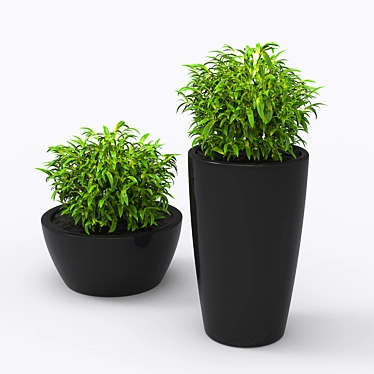 Blooming Potted Plant 3D model image 1 