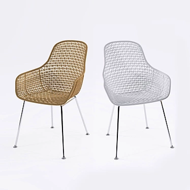 Elegant Rattan Chair 3D model image 1 