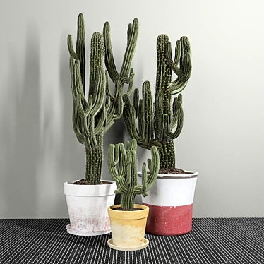 3 Carnegiea Cactus Set 3D model image 1 