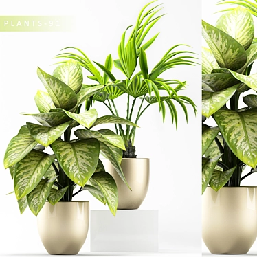 Greenery Collection: MAX2015,2012 & Obj 3D model image 1 