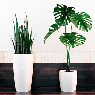 Tropical Dream: Sansevieria & Monstera 3D model image 1 