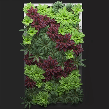 3-in-1 Herbal Fitostena 3D model image 1 