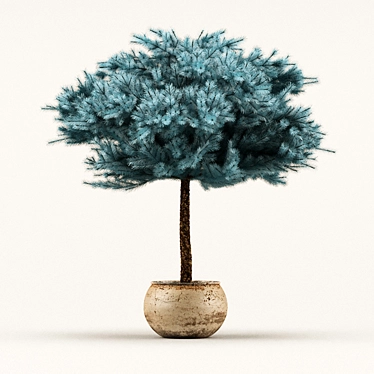 Colorado Blue Spruce: Stunning Polys & Verts 3D model image 1 