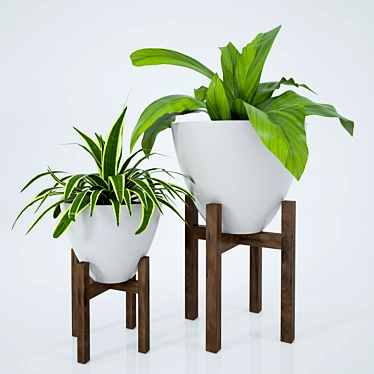 Green Oasis: Indoor Plants 3D model image 1 