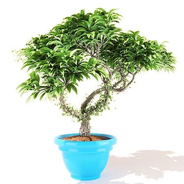 Frangipani Ivy: High Poly, Growfx, Corona 3D model image 1 