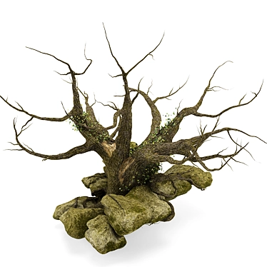 Enchanting Oak with Stone and Ivy Décor 3D model image 1 