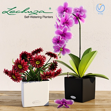Lechuza Cube LS 35: Smart Pot for Orchids & Flowers! 3D model image 1 
