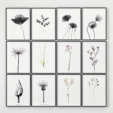 Posters with images of plants