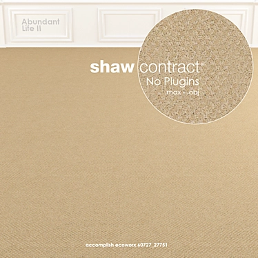 Shaw Abundant Life II Carpet 3D model image 1 
