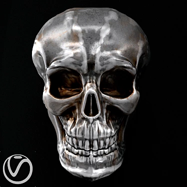 Silver Skull Wall Decor 50cm 3D model image 1 