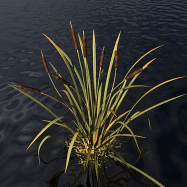 River Reeds: Aquatic Model with Customizable Settings 3D model image 1 