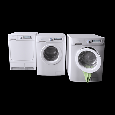 REX Electrolux Laundry: Powerful Machines for Your Laundry Needs 3D model image 1 