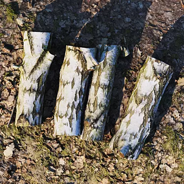 Forest Birch Stumps: 3D Model 3D model image 1 