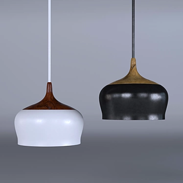 Sleek Iron Pendant Lighting 3D model image 1 