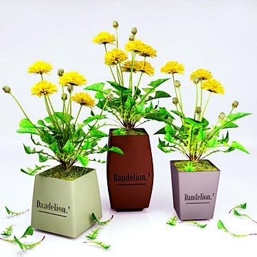 Serene Dandelion Collection 3D model image 1 