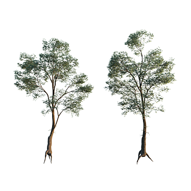 Architectural Tree Model 3D model image 1 