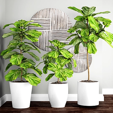 Graceful Ficus Lyrata Assortment 3D model image 1 