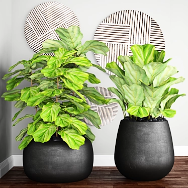 Ficus lyrata: Stunning Potted Plant 3D model image 1 