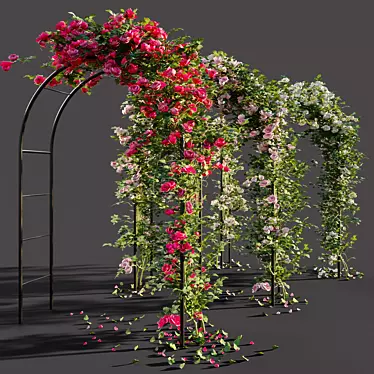 Rose-Arched Beauty 3D model image 1 