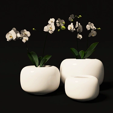 Elegant Porcelain Vase with White Orchid 3D model image 1 