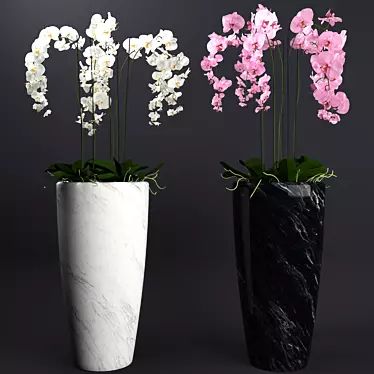 Exquisite Orchid 3D Model 3D model image 1 