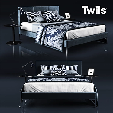 Luxurious Twils Bed 3D model image 1 