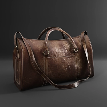 Skin Bag 2016-2014: Stylish Business Bag 3D model image 1 