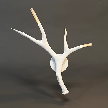 Nature-inspired Antler Sconce 3D model image 1 