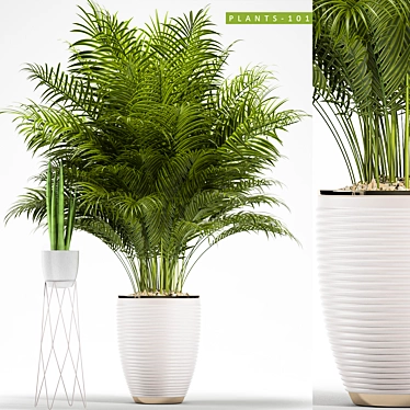 Plant 101: MAX2012,2015 & Obj 3D model image 1 
