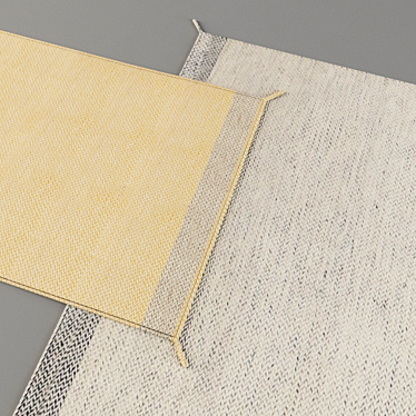 Minimalist Ply Rugs 3D model image 1 