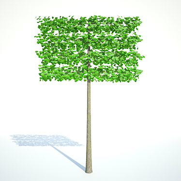 Small-Leaved Linden Tapestry: 4 Tier Green Wall 3D model image 1 