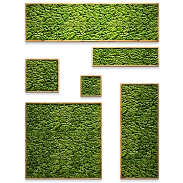 Natural Moss Wall Art 3D model image 1 