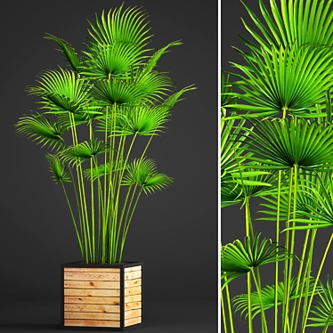 Tropical Palm Paradise 3D model image 1 