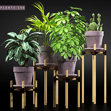 Leafy Greens Collection | 3D Plant Models 3D model image 1 