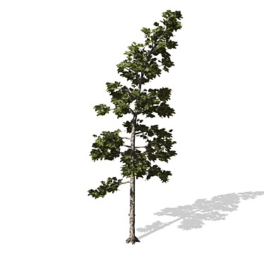 High-Quality 3D Tree Model 3D model image 1 