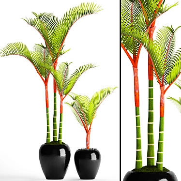 Tropical Potted Plant Collection 3D model image 1 